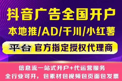 某电商平台的SEM广告投放策略及效果评估