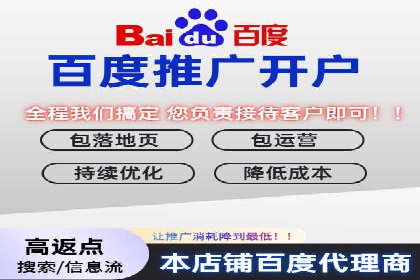 百度搜索引擎优化推广：成功案例揭秘